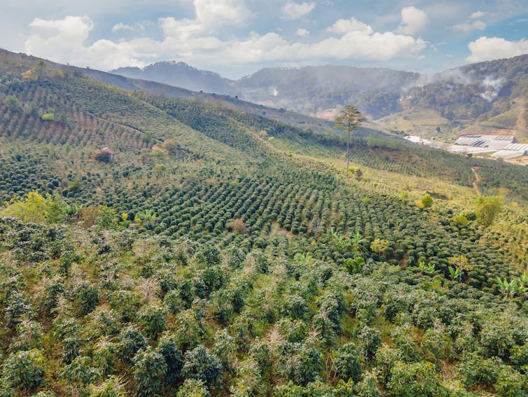 A view of a green hill with mountains in the background.